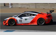 43 - Acura NSX GT3 - RealTime Racing