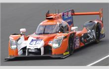 45 - Ligier JS P217 Gibson #OR05-14 (Onroak) - Algarve Pro Racing