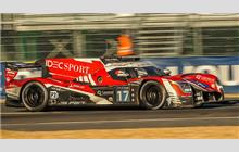17 - Ligier JS P217 Gibson #OR05-11 (Onroak) - Idec Sport Racing