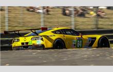 64 - Chevrolet Corvette C7.R #C7RGT-006 (Pratt & Miller) - Corvette Racing - GM