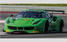 333 - Ferrari 488 GT3 (Michelotto) - Rinaldi Racing