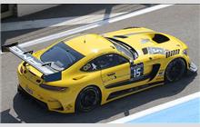 15 - Mercedes-AMG GT3 - Black Falcon