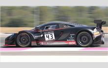 43 - McLaren 650S GT3 #31 - Strakka Racing