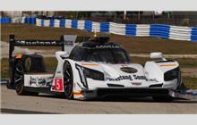 5 - Cadillac DPi-V.R #P217-003 (Dallara) - Mustang Sampling Racing