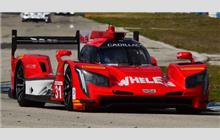 31 - Cadillac DPi-V.R #P217-006 (Dallara) - Whelen Engineering Racing