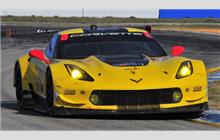 4 - Chevrolet Corvette C7.R #C7RGT-006 (Pratt & Miller) - Corvette Racing