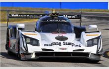 5 - Cadillac DPi-V.R #P217-003 (Dallara) - Mustang Sampling Racing