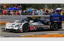 5 - Cadillac DPi-V.R #P217-003 (Dallara) - Mustang Sampling Racing