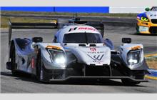 52 - Ligier JS P217 Gibson #OR05-04 (Onroak) - PR1/Mathiasen Motorsports