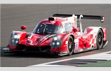 17 - Ligier JS P3 Nissan (Onroak) - Ultimate