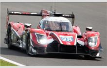 28 - Ligier JS P217 Gibson #OR05-11 (Onroak) - Idec Sport Racing