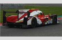 34 - Ligier JS P217 Gibson #OR05-08 (Onroak) - Tockwith Motorsports