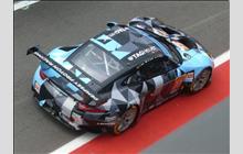 77 - Porsche 991 RSR #WP0ZZZ99ZES199904 - Dempsey-Proton Racing