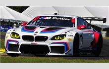 25 - BMW M6 GTLM #1502 - BMW Team RLL