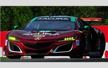 86 - Acura NSX GT3 #005 - Michael Shank Racing w/ Curb-Agajanian