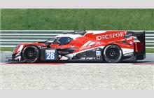 28 - Ligier JS P217 Gibson #OR05-11 (Onroak) - Idec Sport Racing