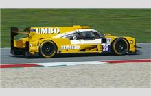 29 - Dallara P217 Gibson #001 - Racing Team Nederland