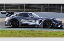 111 - Mercedes-AMG GT3 #AMG GT3 190 17 114 - Porteiro Motorsport