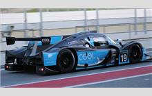 19 - Ligier JS P3 Nissan (Onroak) - Cool Racing