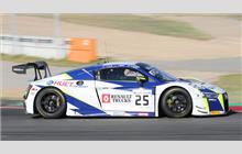 25 - Audi R8 LMS - Sainteloc Racing