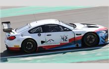 42 - BMW M6 GT3 #1619 - 3Y Technology
