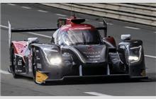 33 - Ligier JS P217 Gibson #OR05-06 (Onroak) - Jackie Chan DC Racing