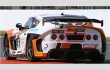 36 - Ginetta G55 GT4 #G50-LT-325 - CMR