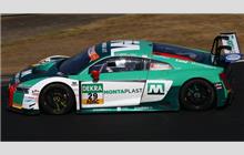 29 - Audi R8 LMS - Montaplast by Land-Motorsport