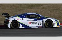 25 - Audi R8 LMS - Sainteloc Racing