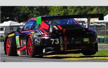 73 - Porsche 991 GT3 R #WP0ZZZ99ZGS199506 - Park Place Motorsports