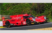 99 - Oreca 07 Gibson - JDC-Miller Motorsports