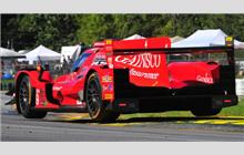 99 - Oreca 07 Gibson - JDC-Miller Motorsports