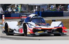 7 - Acura ARX-05 #2 (Oreca) - Acura Team Penske