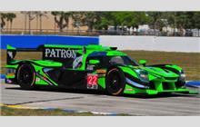 22 - Nissan Onroak DPi #OR05-03 (Ligier) - Tequila Patron ESM