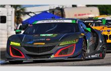 36 - Acura NSX GT3 #007 - CJ Wilson Racing