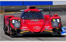 99 - Oreca 07 Gibson #02 - JDC-Miller Motorsports