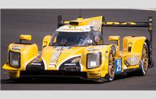 29 - Dallara P217 Gibson - Racing Team Nederland