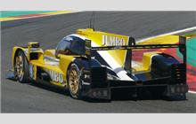 29 - Dallara P217 Gibson #005 - Racing Team Nederland