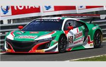 30 - Honda NSX GT3 - Castrol Honda Racing