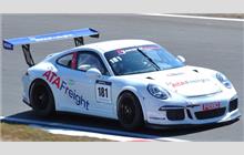181 - Porsche 991 GT3 Cup - Go Motorsports by DVB