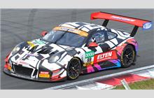 69 - Porsche 991 GT3 R - IronForce by Ring Police