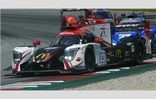 23 - Ligier JS P217 Gibson #OR05-12 (Onroak) - Panis Barthez Competition