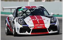 22 - Porsche 991 GT3 Cup #WP0ZZZ99ZKS198112 - A.C.S. / PZ Oberer Zurichsee By TFT