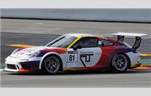 81 - Porsche 991 GT3 Cup #WP0ZZZ99ZJS198235 - Tsunami RT