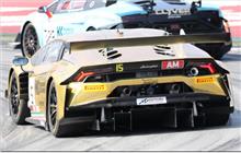 15 - Lamborghini Huracán GT3 Evo #ALSCGT201900080 - Boutsen Ginion