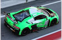 17 - Audi R8 LMS GT3 2019 - Belgian Audi Club Team WRT