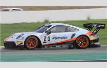 20 - Porsche 991 GT3 R #WP0ZZZ99ZKS199541 - GPX Racing