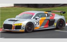 29 - Audi R8 LMS GT4 - Steller Performance