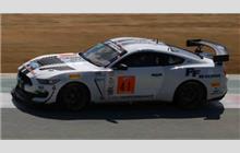 41 - Ford Mustang GT4 (Multimatic) - PF Racing