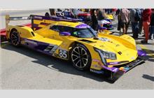 85 - Cadillac DPi-V.R (Dallara) - JDC-Miller MotorSports